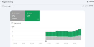 Screenshot of Indexing on Google Search Console
